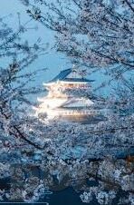 国产av中文麻豆-国产影视艺术中的独特魅力,探索中文麻豆在国产AV领域的角色与影响