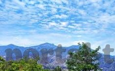 麻豆一级毛片免费视频-网络色情内容的诱惑与深思